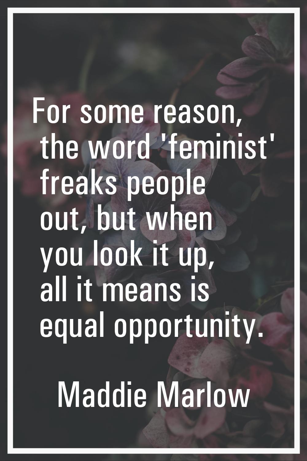 For some reason, the word 'feminist' freaks people out, but when you look it up, all it means is eq