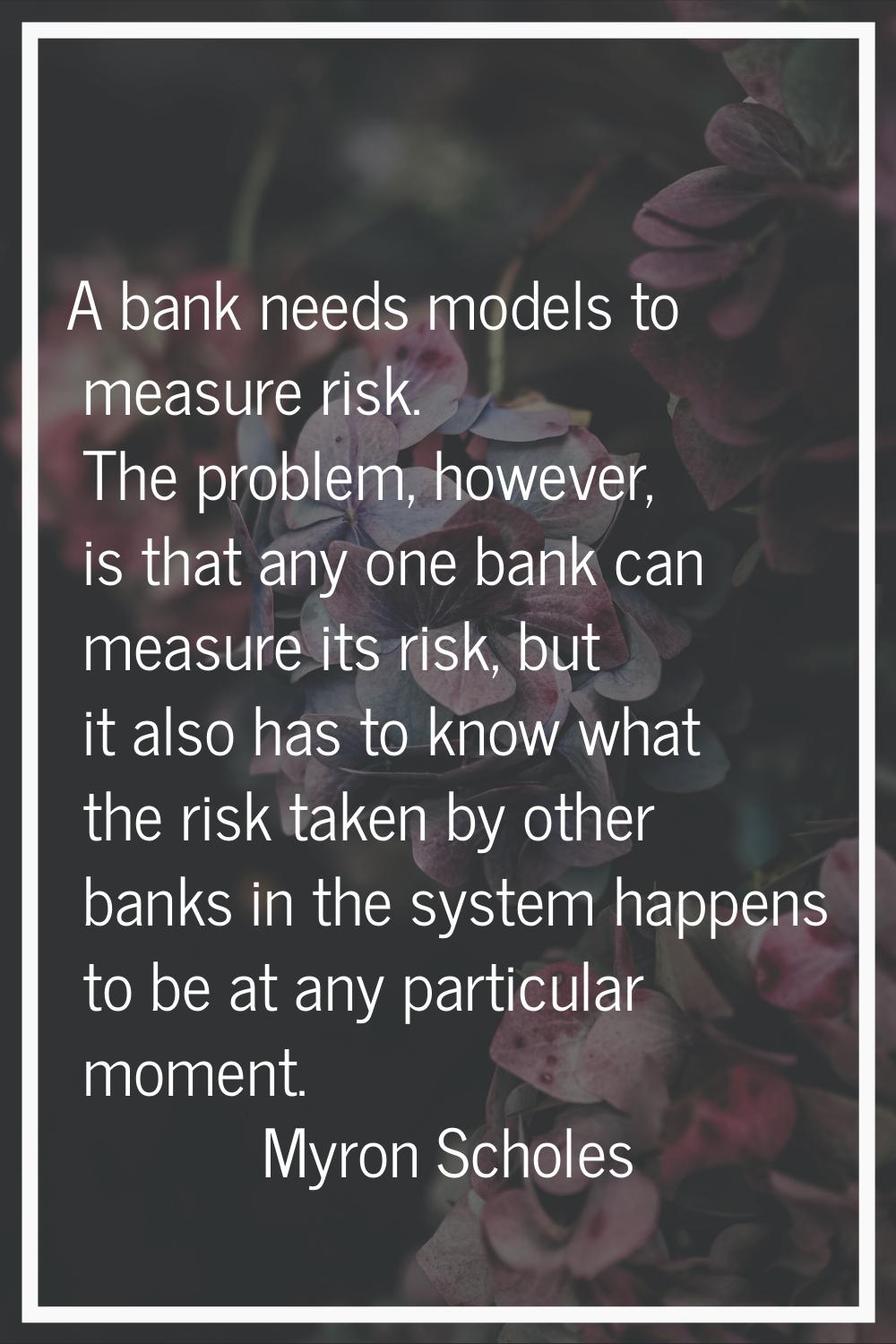 A bank needs models to measure risk. The problem, however, is that any one bank can measure its ris