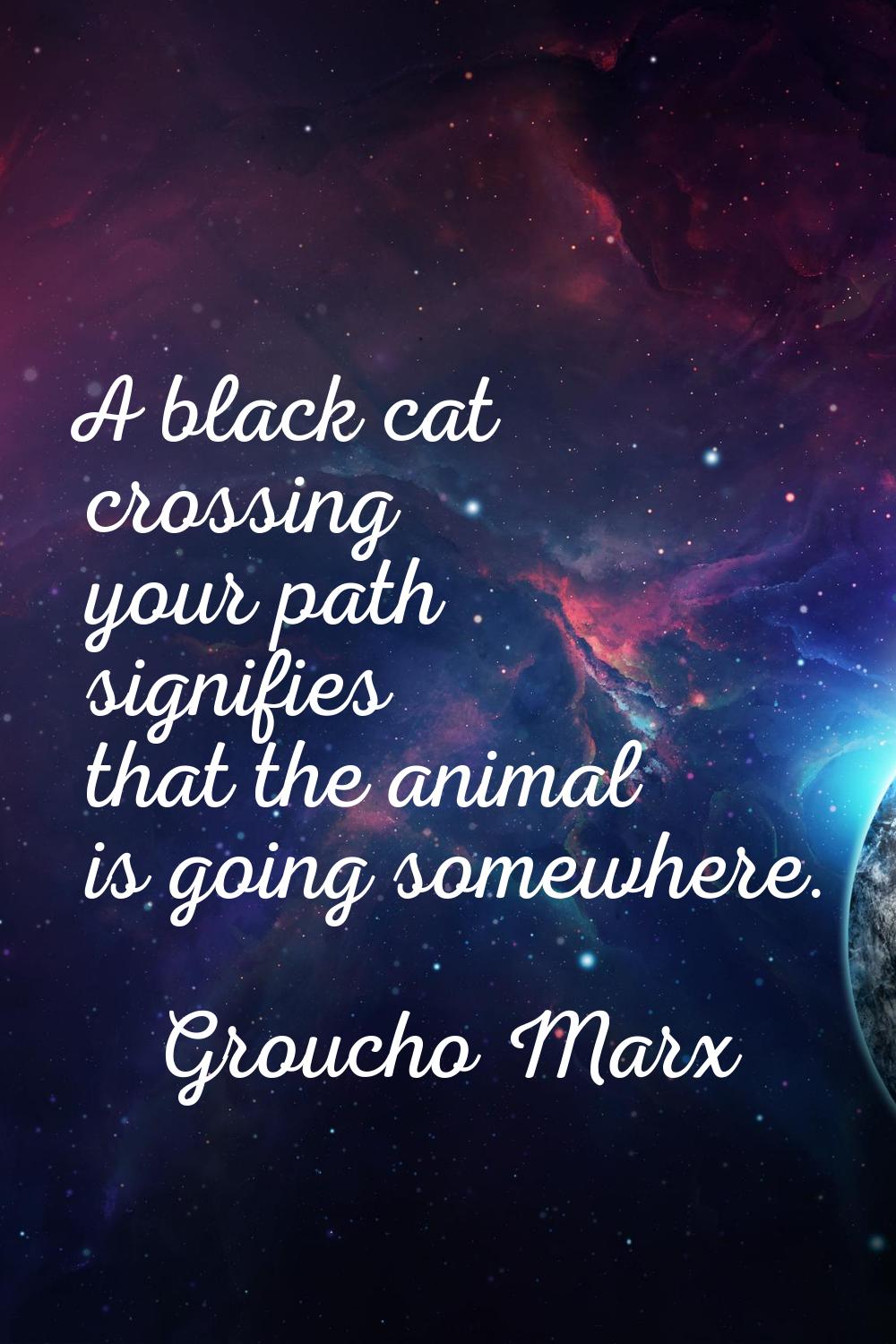 A black cat crossing your path signifies that the animal is going somewhere.