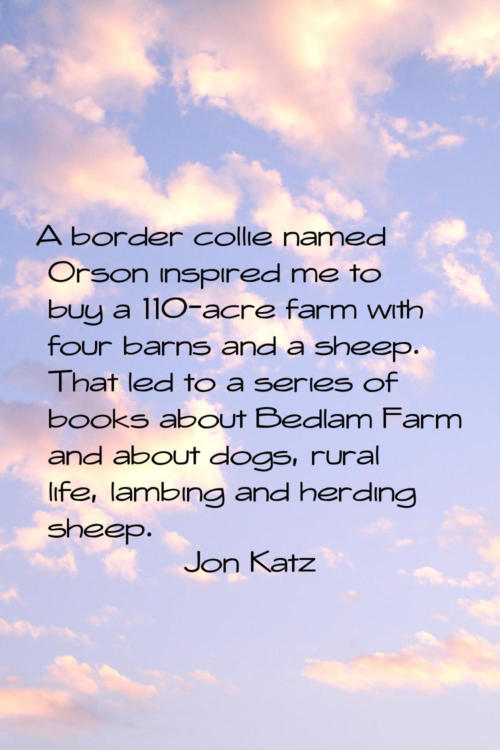A border collie named Orson inspired me to buy a 110-acre farm with four barns and a sheep. That le