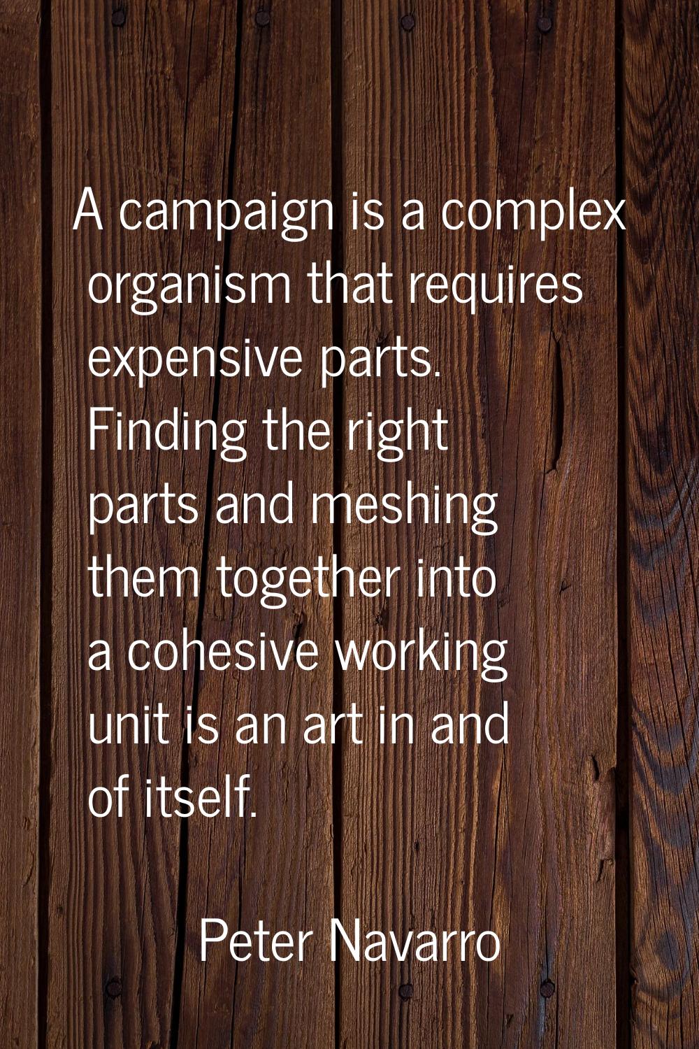 A campaign is a complex organism that requires expensive parts. Finding the right parts and meshing