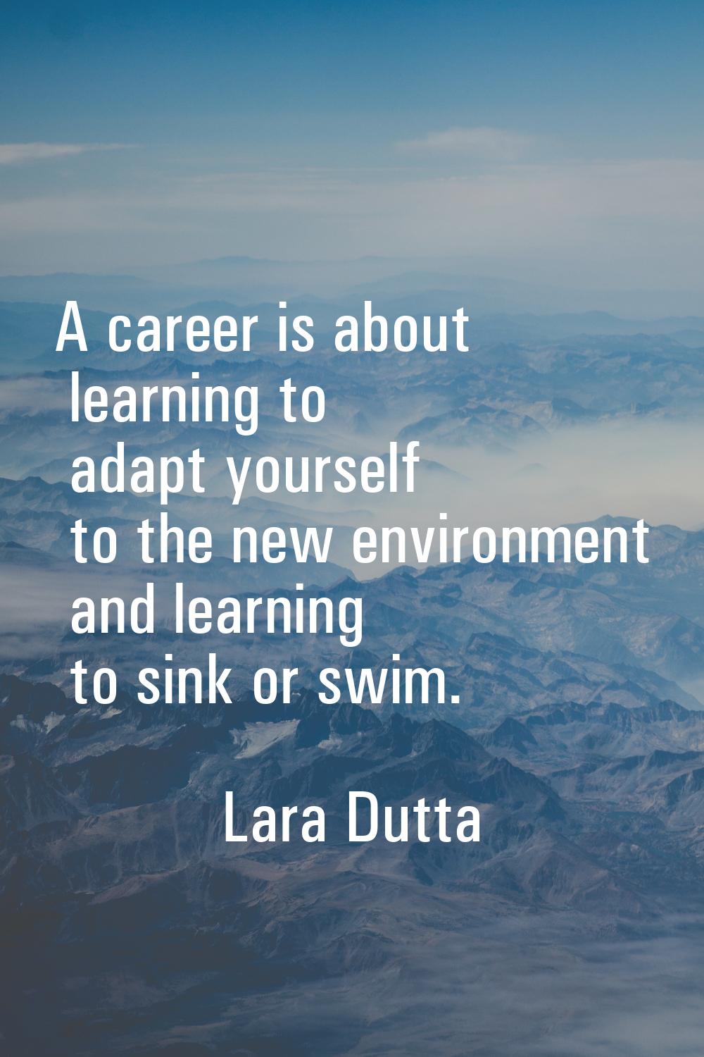 A career is about learning to adapt yourself to the new environment and learning to sink or swim.