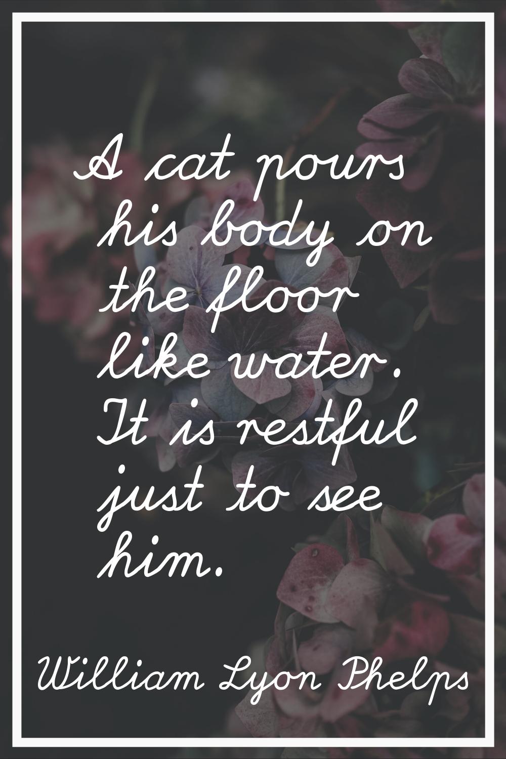 A cat pours his body on the floor like water. It is restful just to see him.