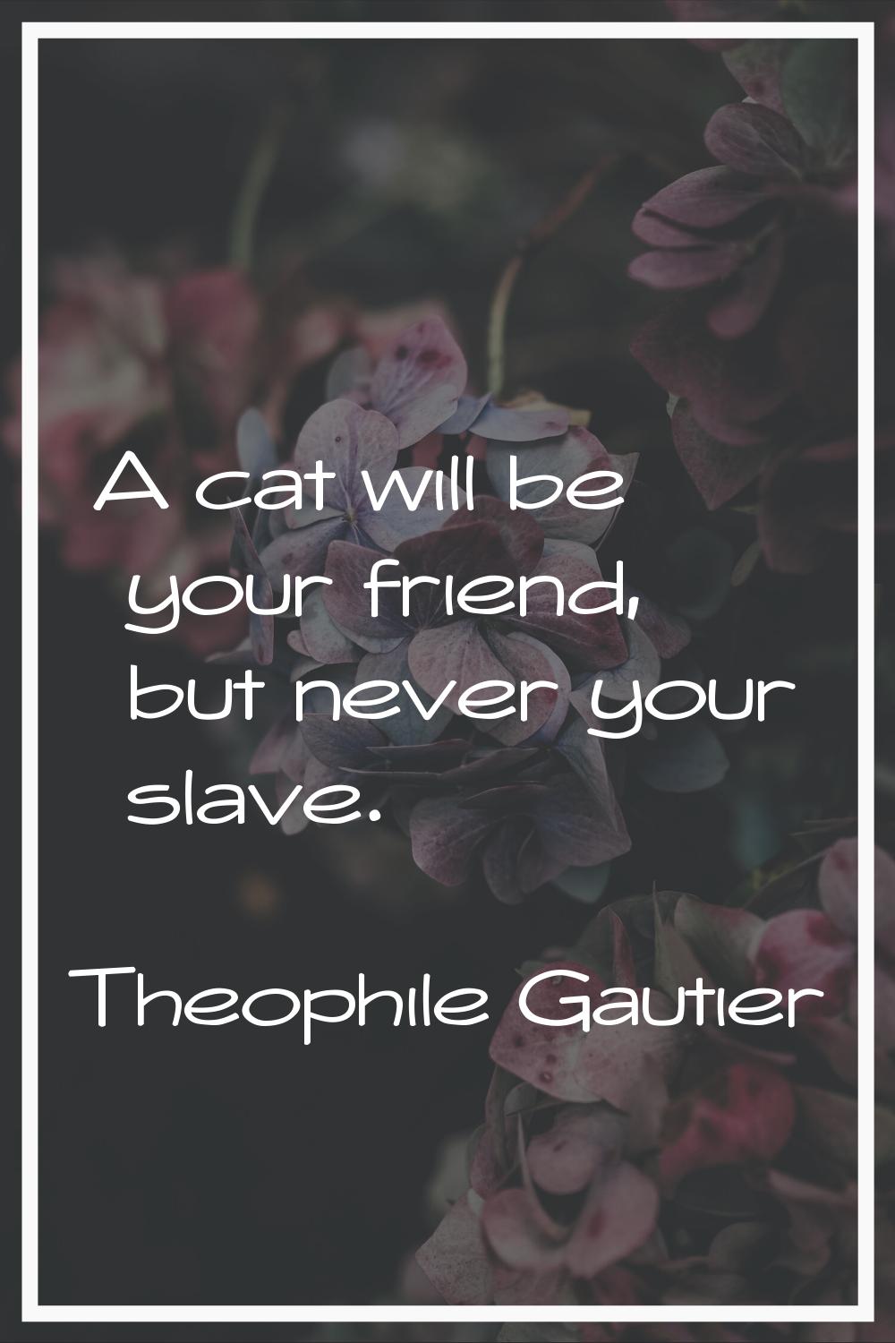 A cat will be your friend, but never your slave.