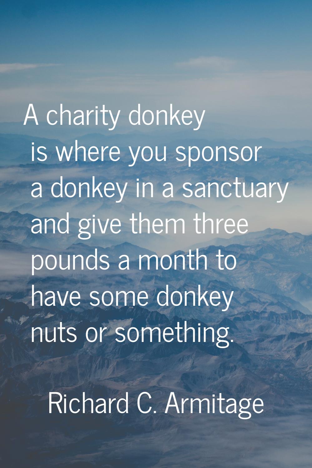 A charity donkey is where you sponsor a donkey in a sanctuary and give them three pounds a month to