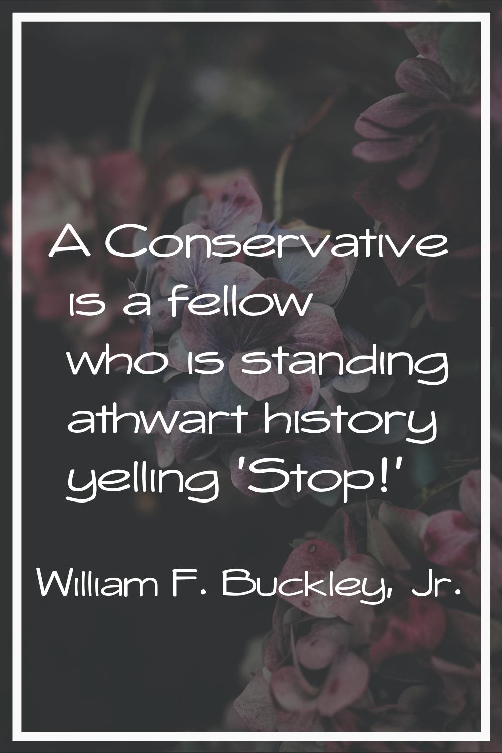 A Conservative is a fellow who is standing athwart history yelling 'Stop!'