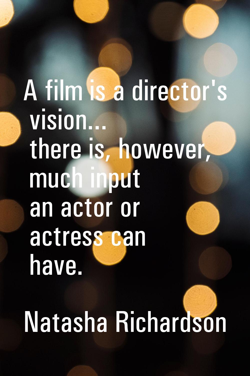 A film is a director's vision... there is, however, much input an actor or actress can have.