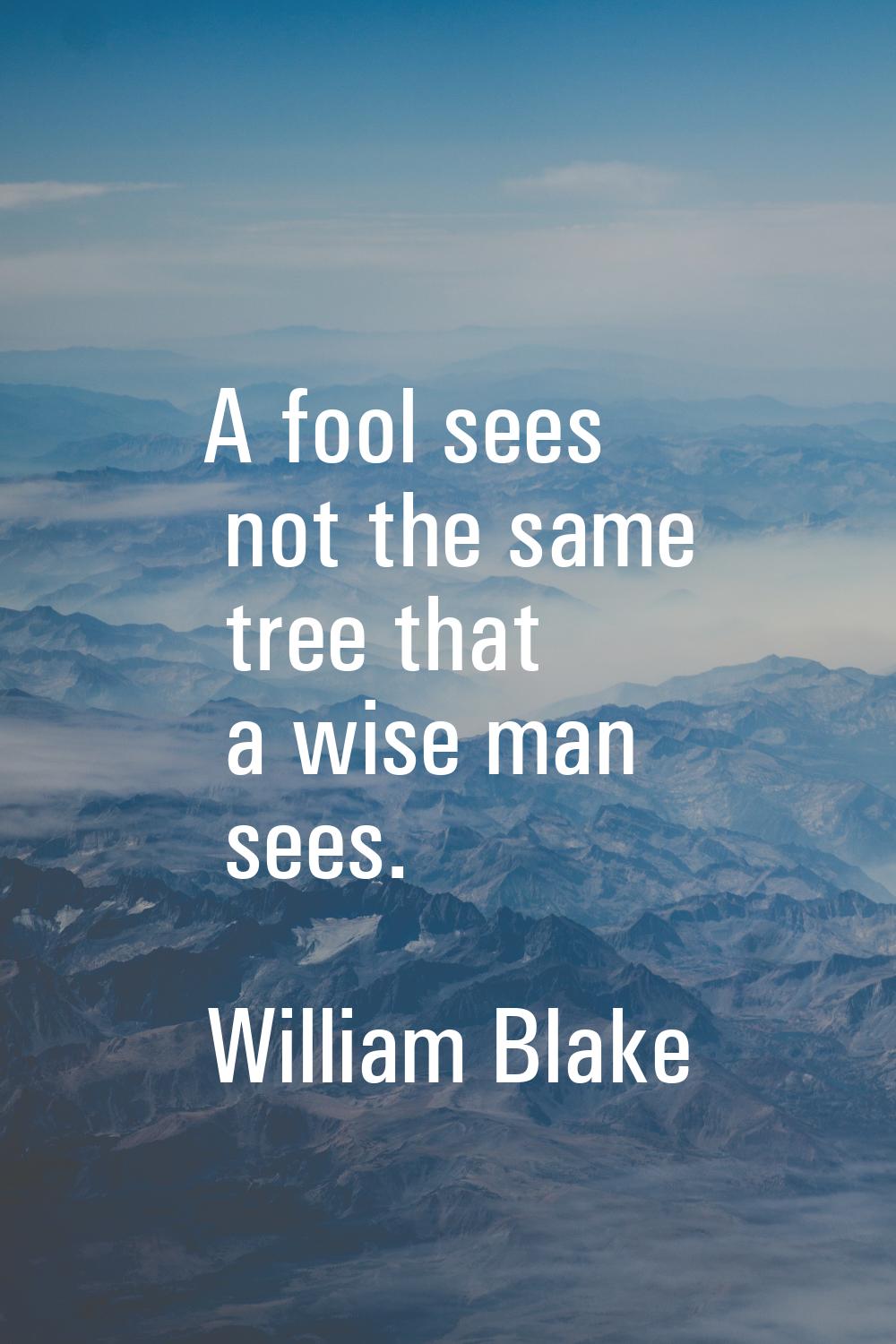 A fool sees not the same tree that a wise man sees.