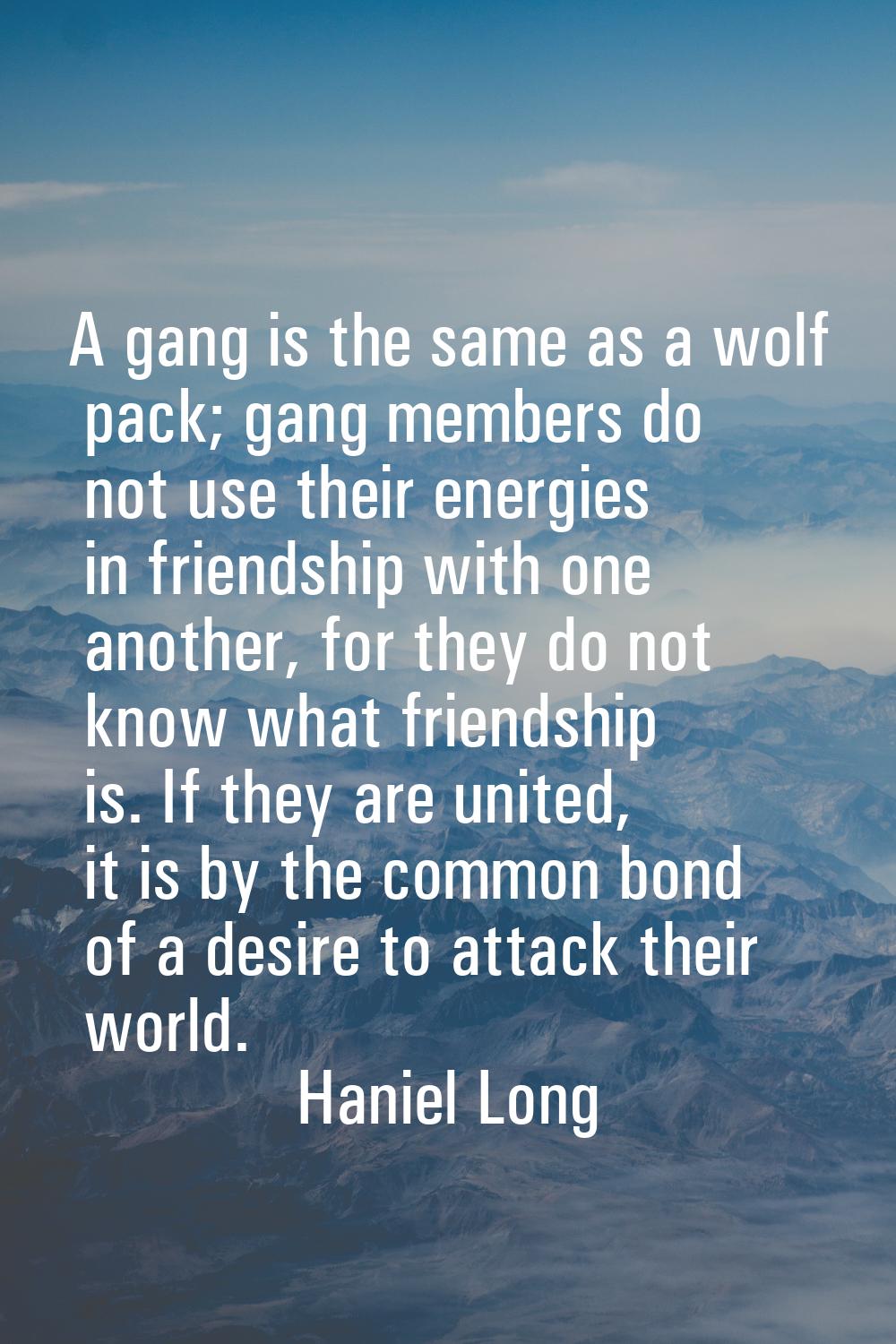 A gang is the same as a wolf pack; gang members do not use their energies in friendship with one an