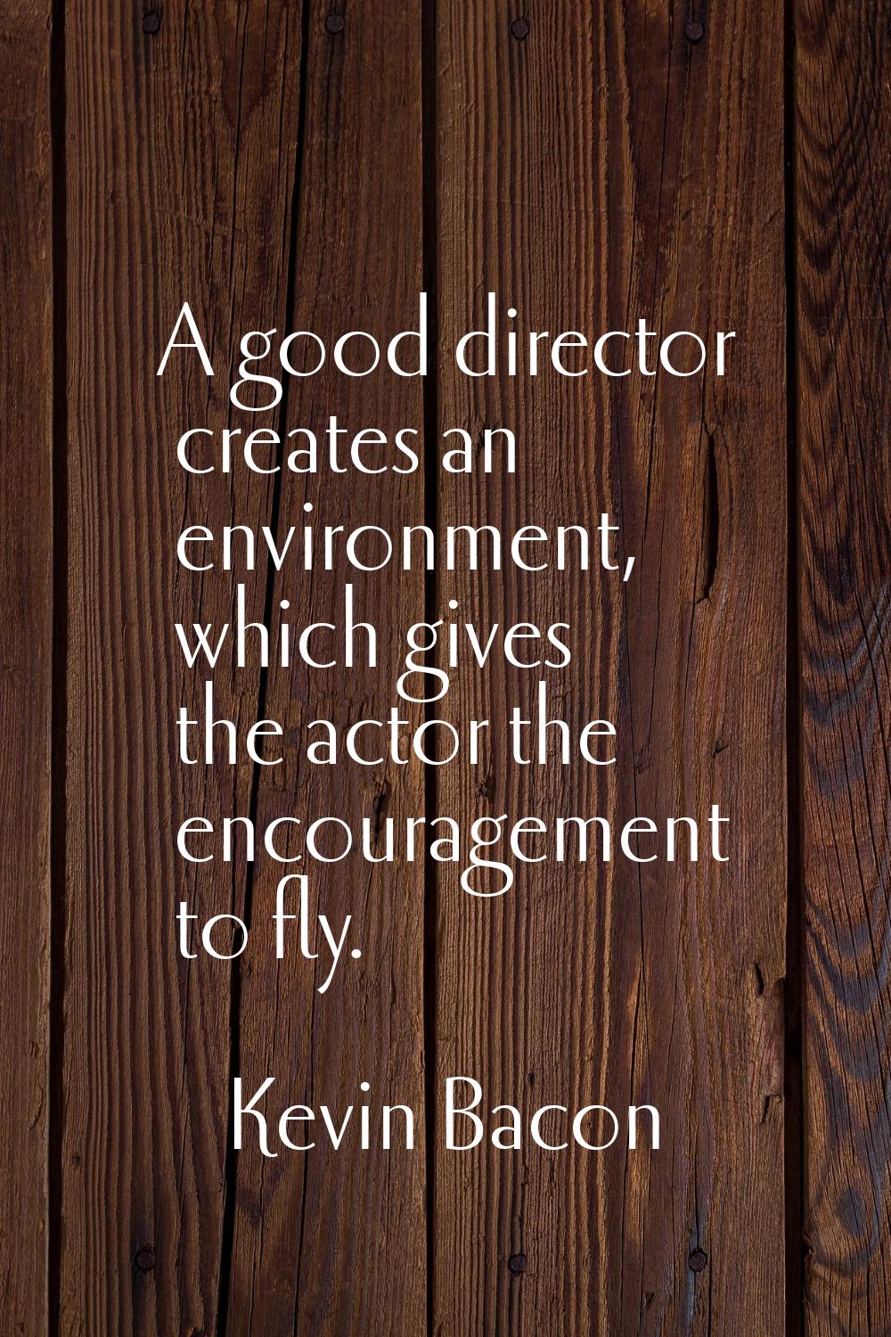A good director creates an environment, which gives the actor the encouragement to fly.