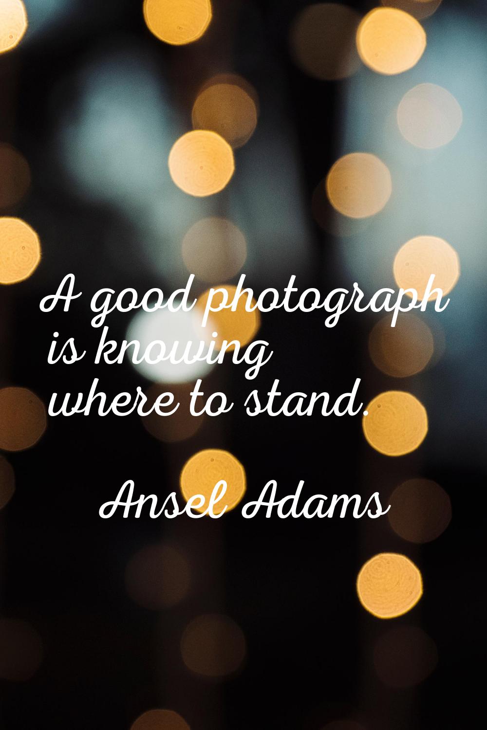 A good photograph is knowing where to stand.