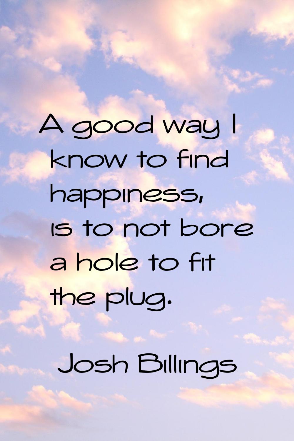 A good way I know to find happiness, is to not bore a hole to fit the plug.