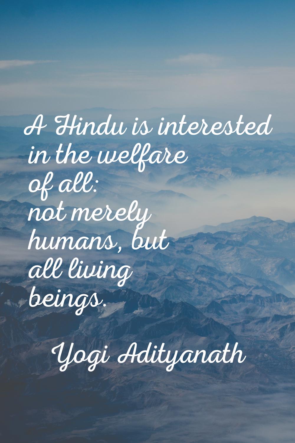 A Hindu is interested in the welfare of all: not merely humans, but all living beings.