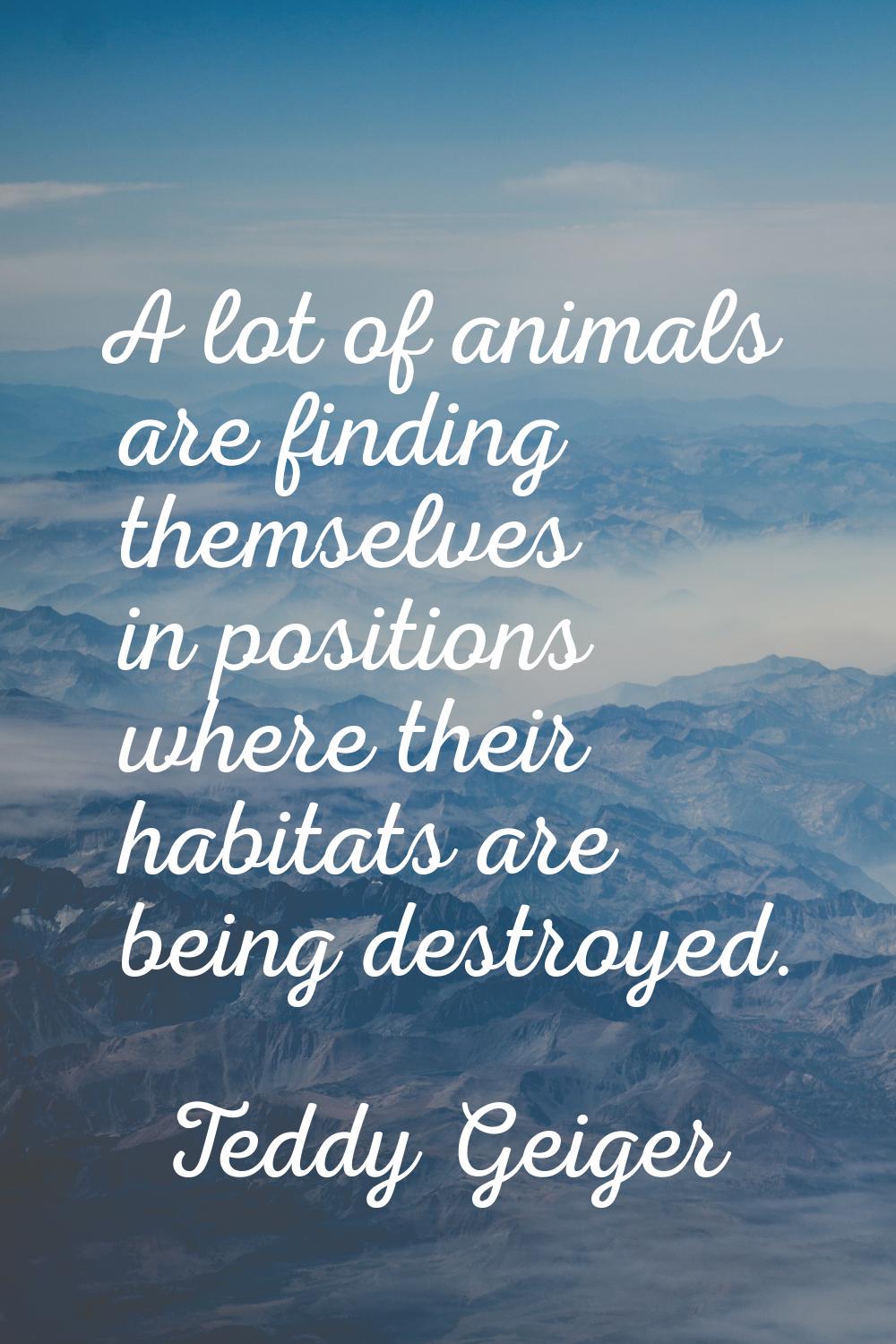 A lot of animals are finding themselves in positions where their habitats are being destroyed.