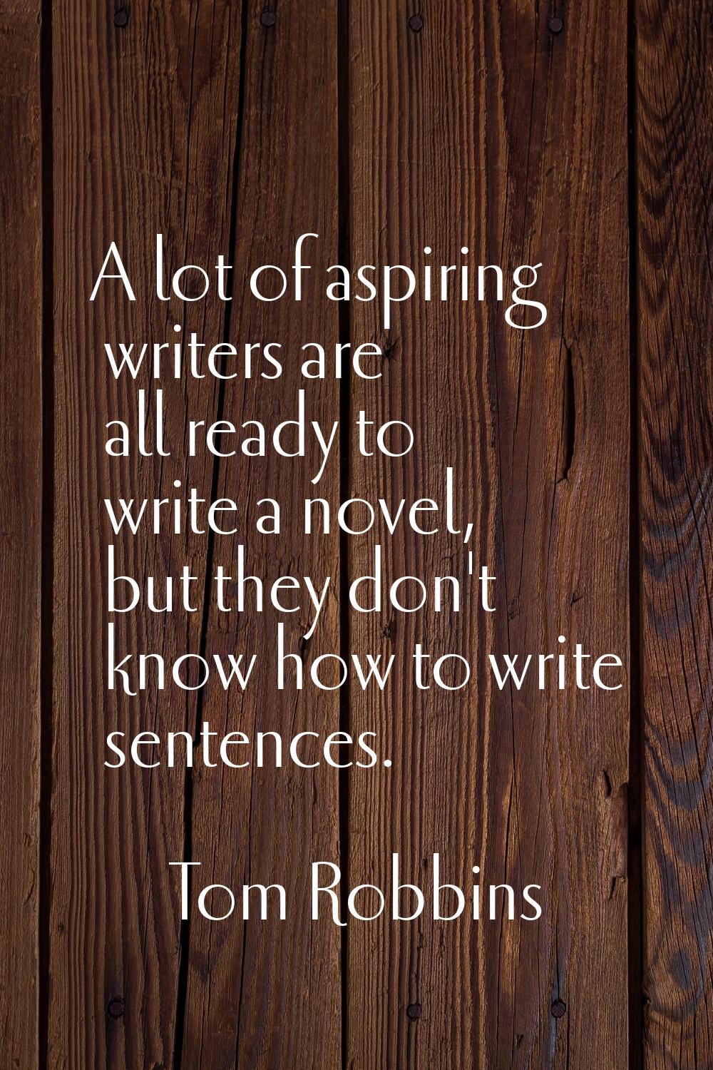 A lot of aspiring writers are all ready to write a novel, but they don't know how to write sentence
