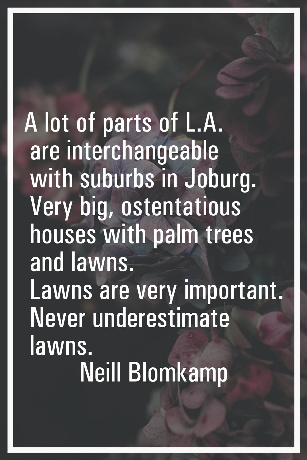A lot of parts of L.A. are interchangeable with suburbs in Joburg. Very big, ostentatious houses wi