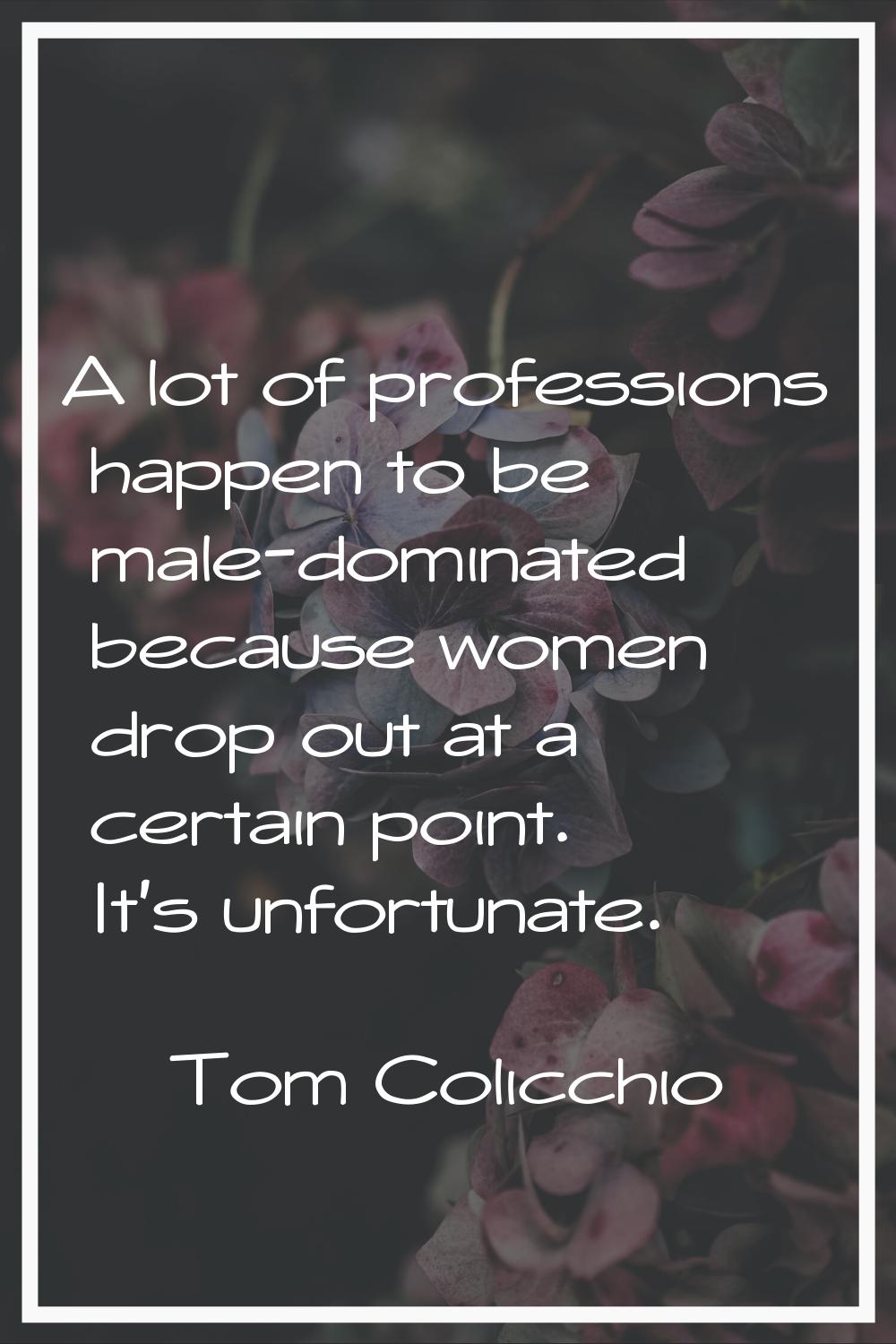A lot of professions happen to be male-dominated because women drop out at a certain point. It's un