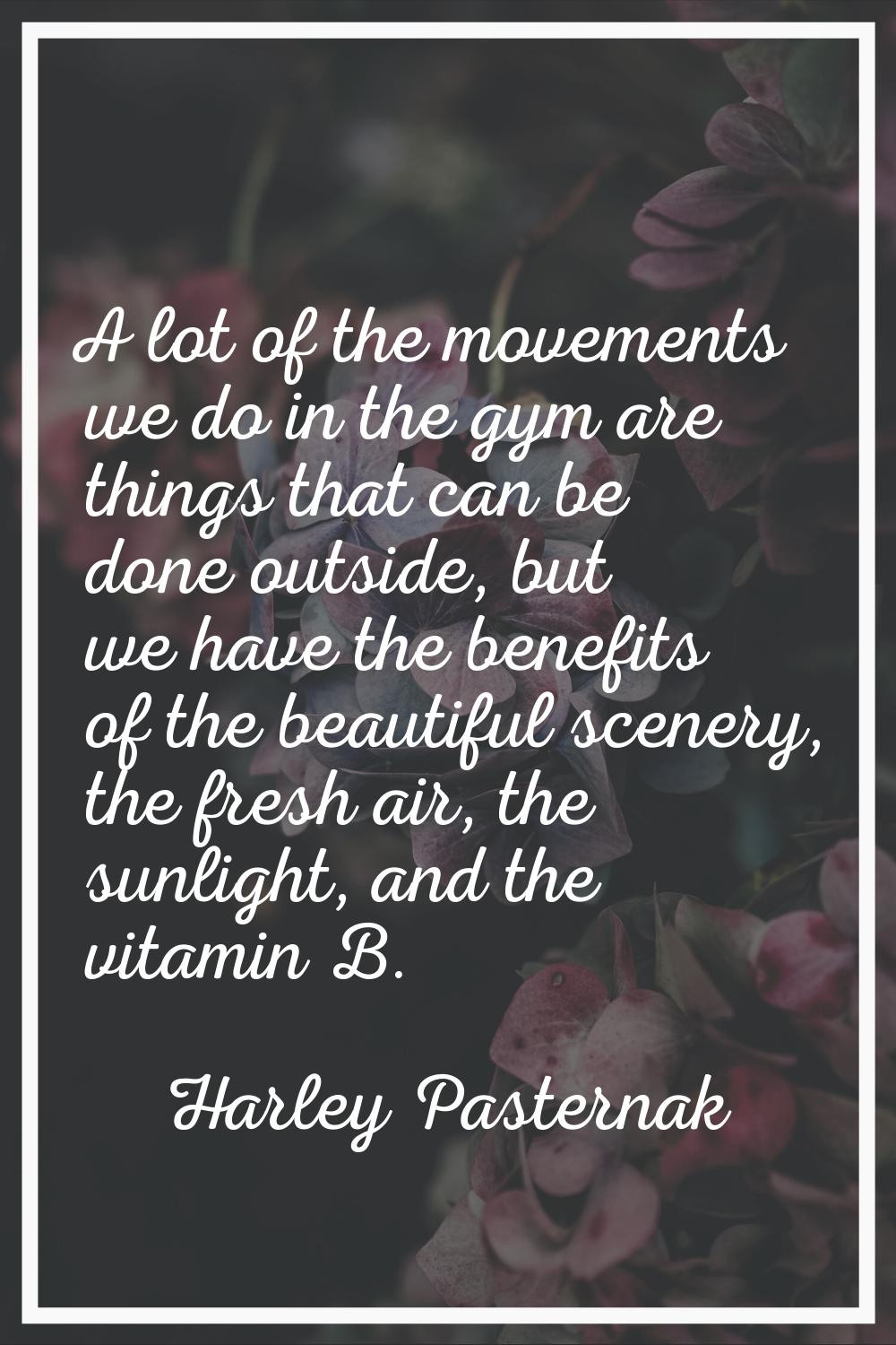A lot of the movements we do in the gym are things that can be done outside, but we have the benefi