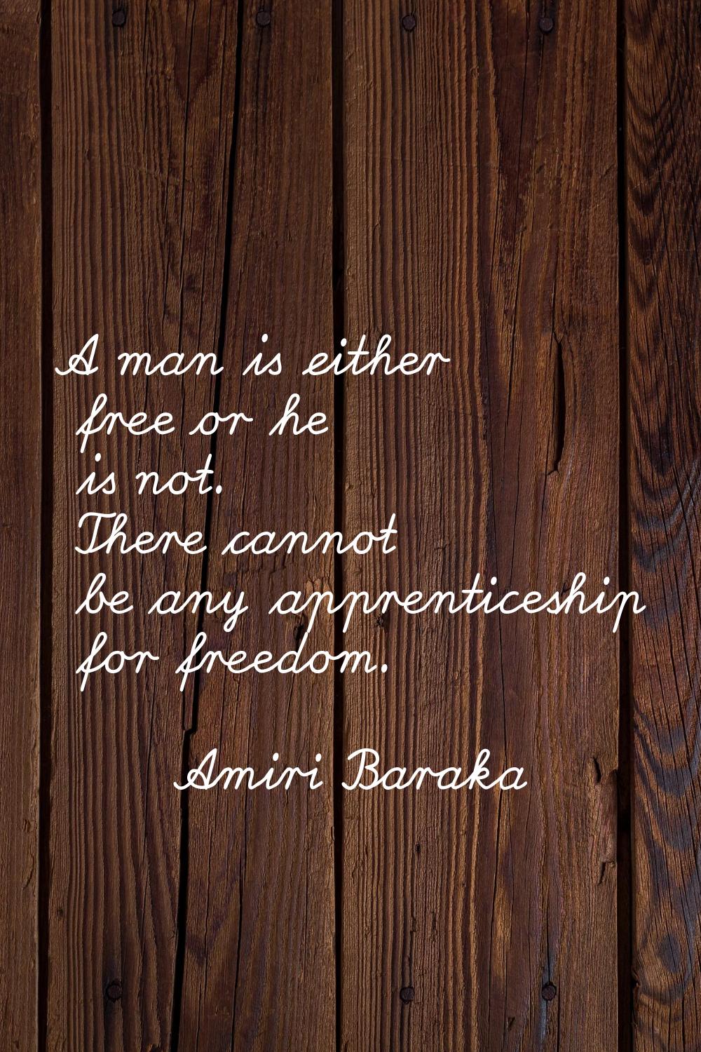A man is either free or he is not. There cannot be any apprenticeship for freedom.