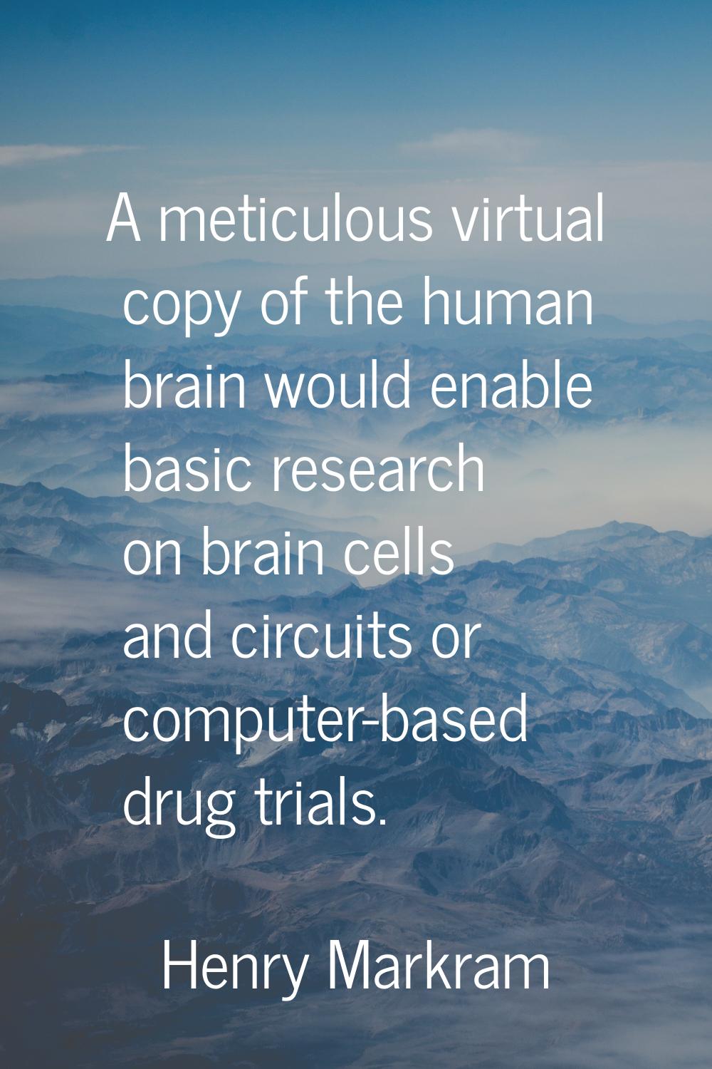 A meticulous virtual copy of the human brain would enable basic research on brain cells and circuit