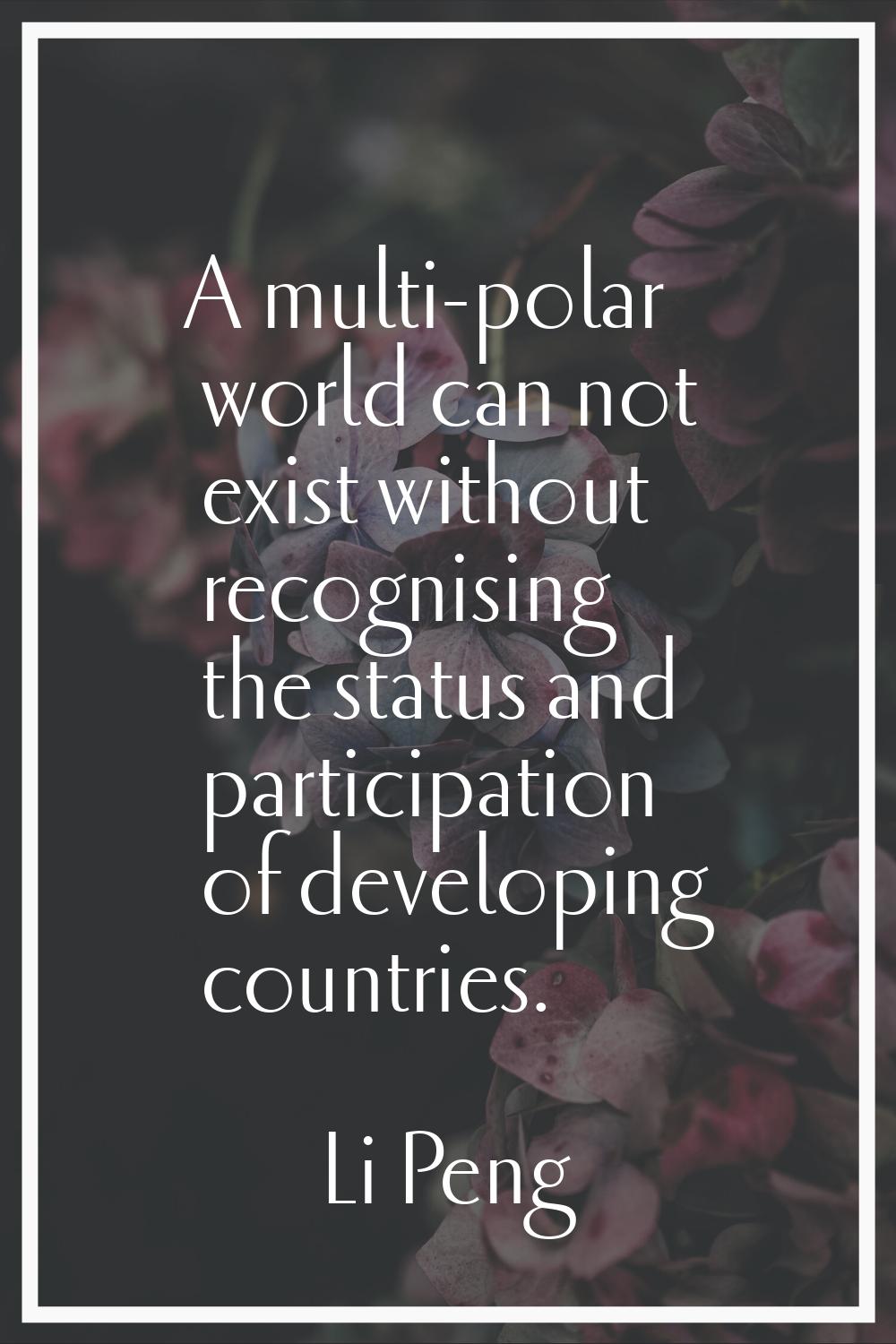 A multi-polar world can not exist without recognising the status and participation of developing co