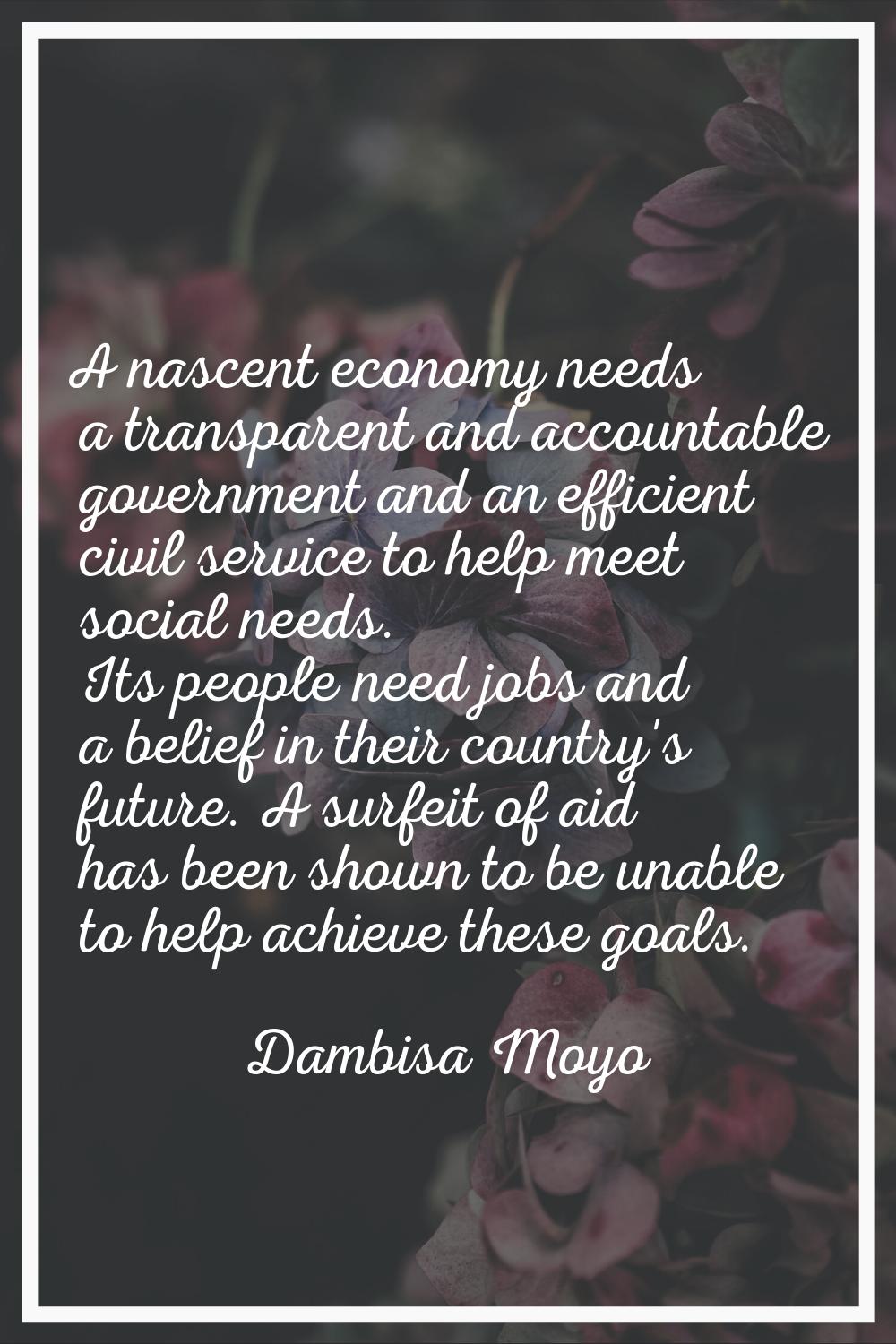 A nascent economy needs a transparent and accountable government and an efficient civil service to 