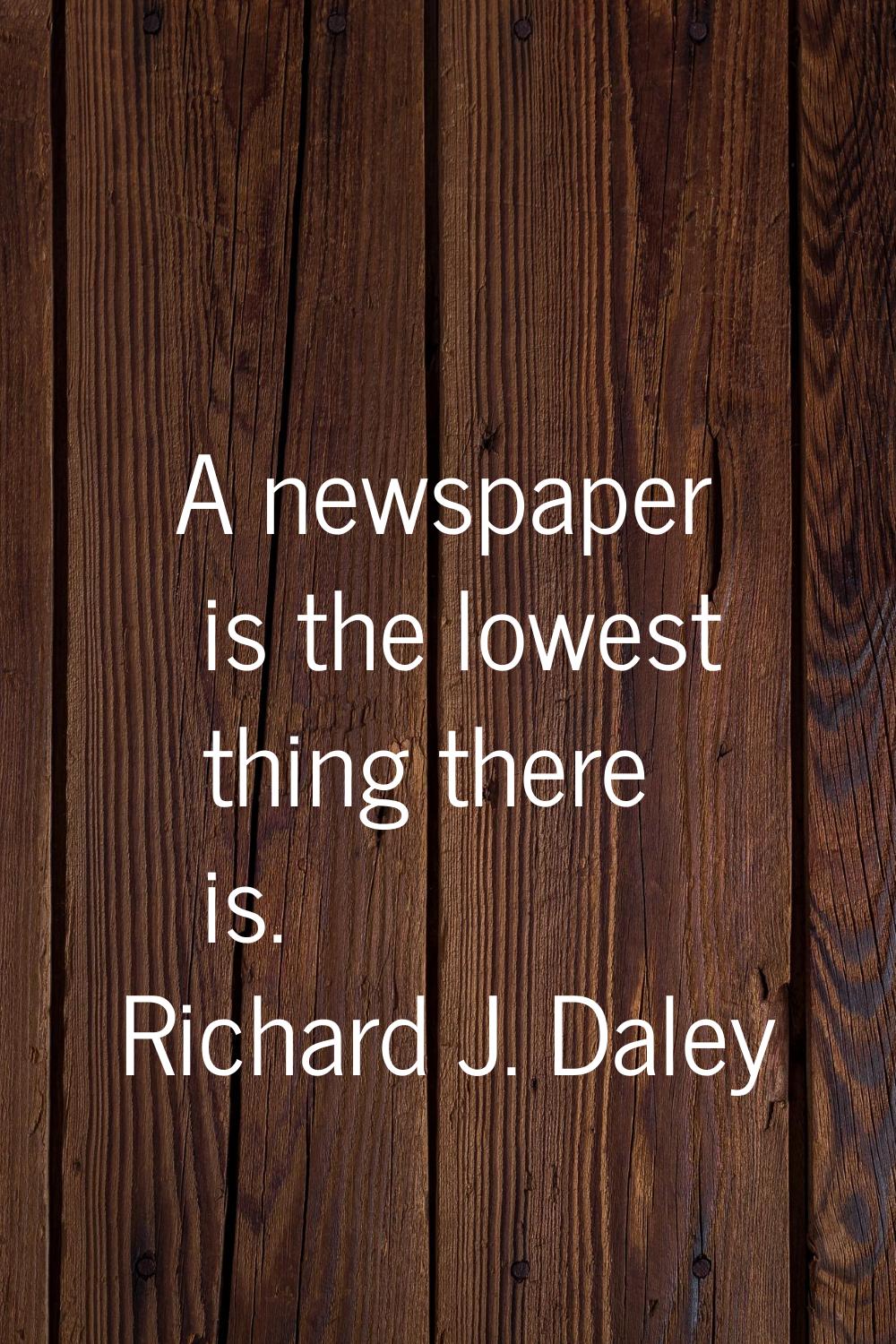 A newspaper is the lowest thing there is.