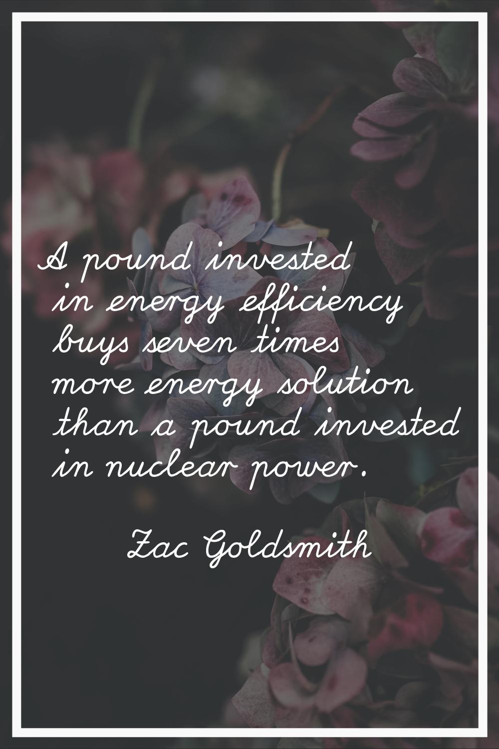A pound invested in energy efficiency buys seven times more energy solution than a pound invested i