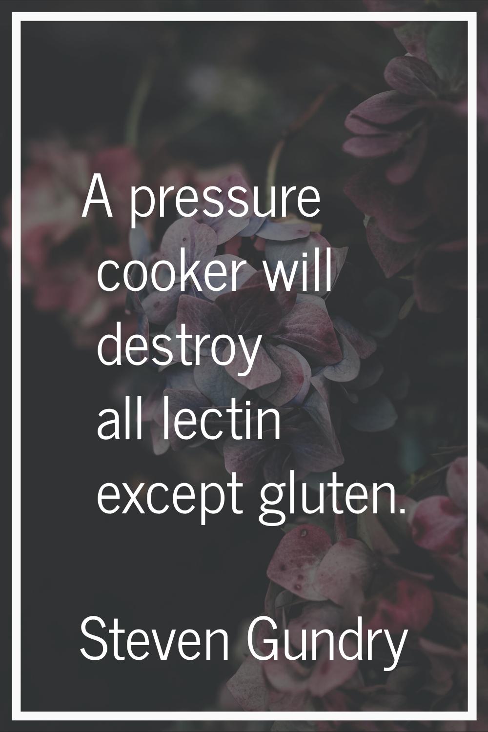 A pressure cooker will destroy all lectin except gluten.