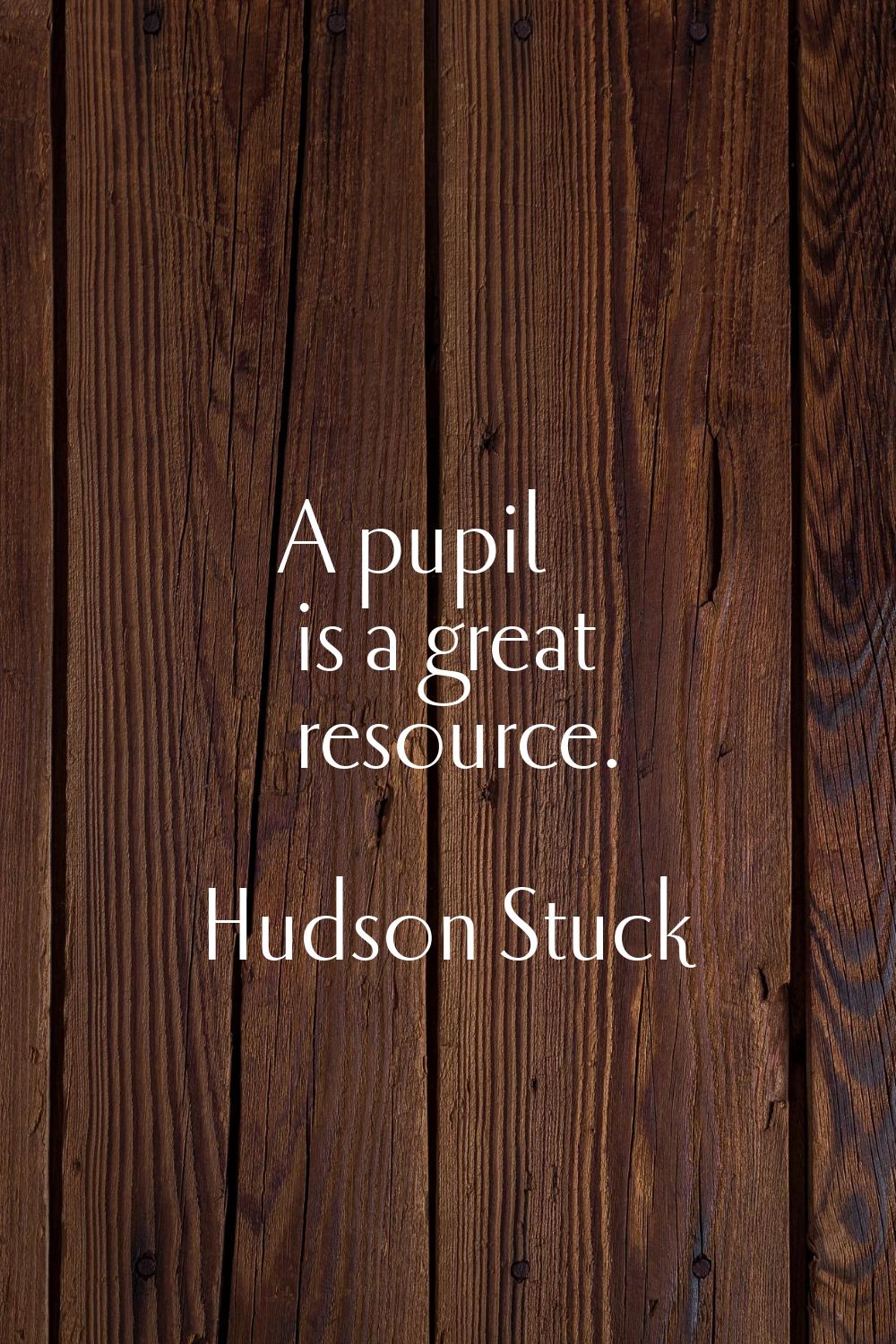 A pupil is a great resource.