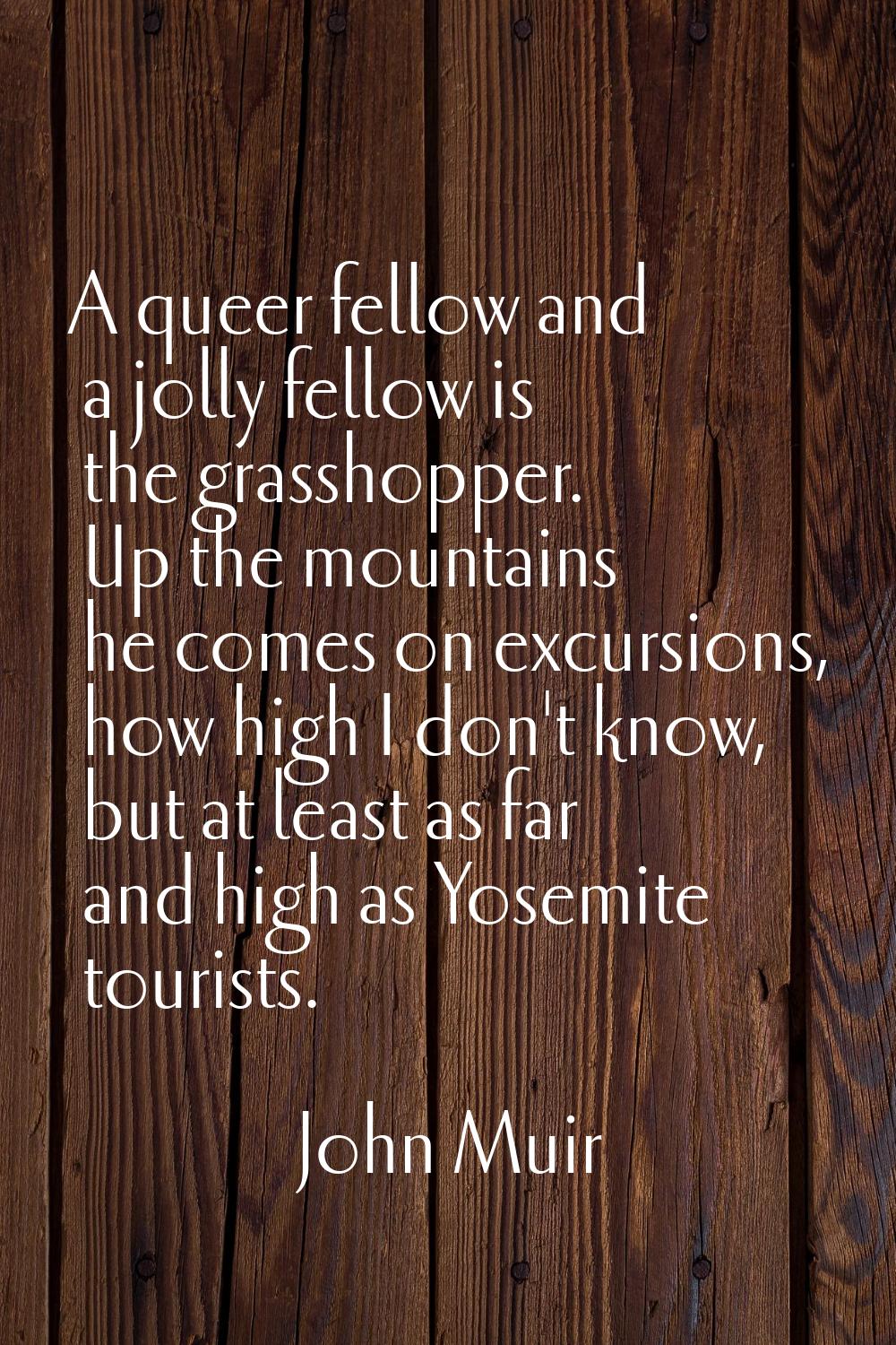 A queer fellow and a jolly fellow is the grasshopper. Up the mountains he comes on excursions, how 