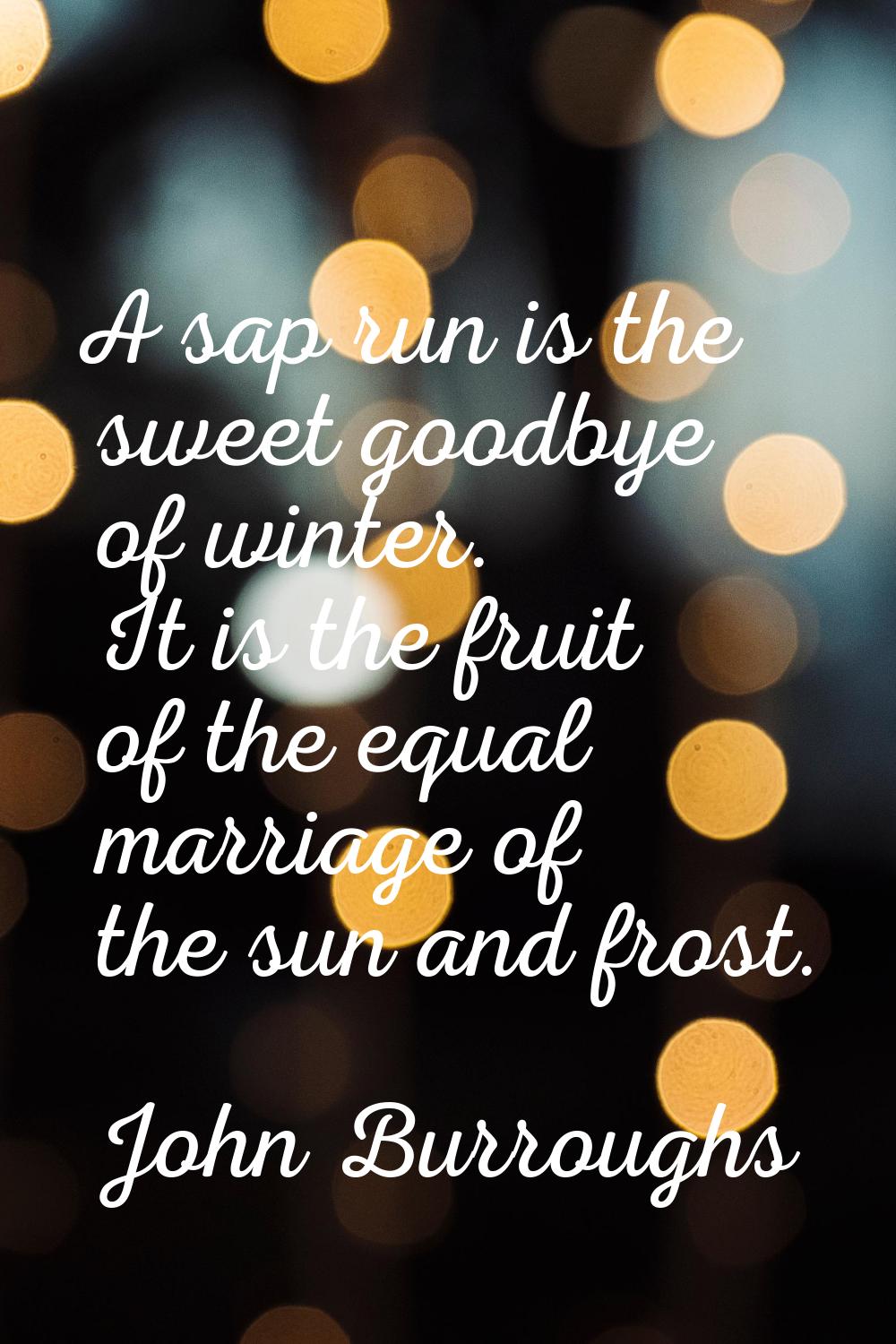 A sap run is the sweet goodbye of winter. It is the fruit of the equal marriage of the sun and fros