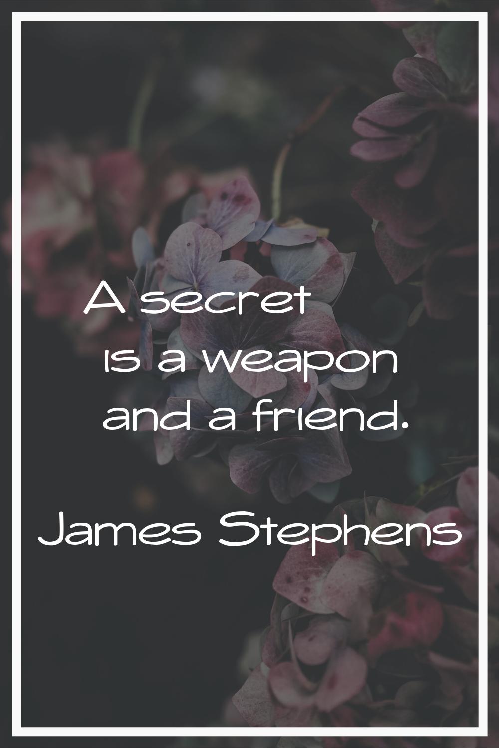 A secret is a weapon and a friend.