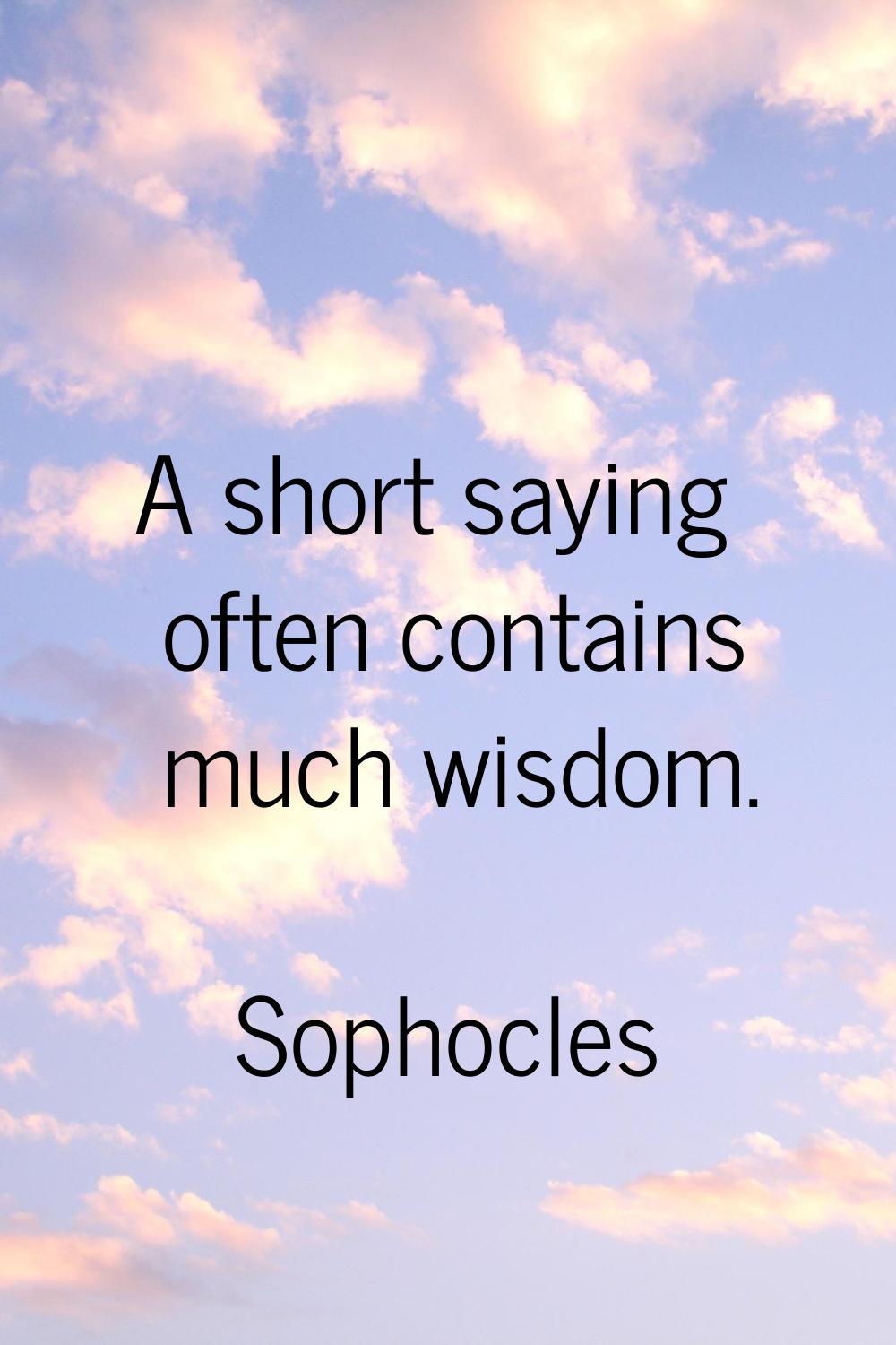 A short saying often contains much wisdom.