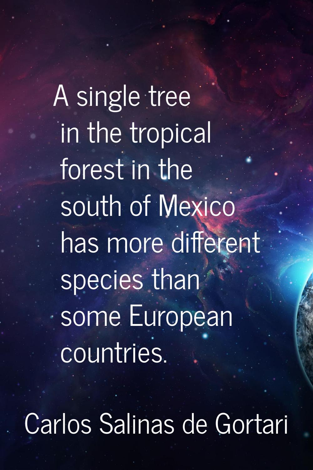A single tree in the tropical forest in the south of Mexico has more different species than some Eu