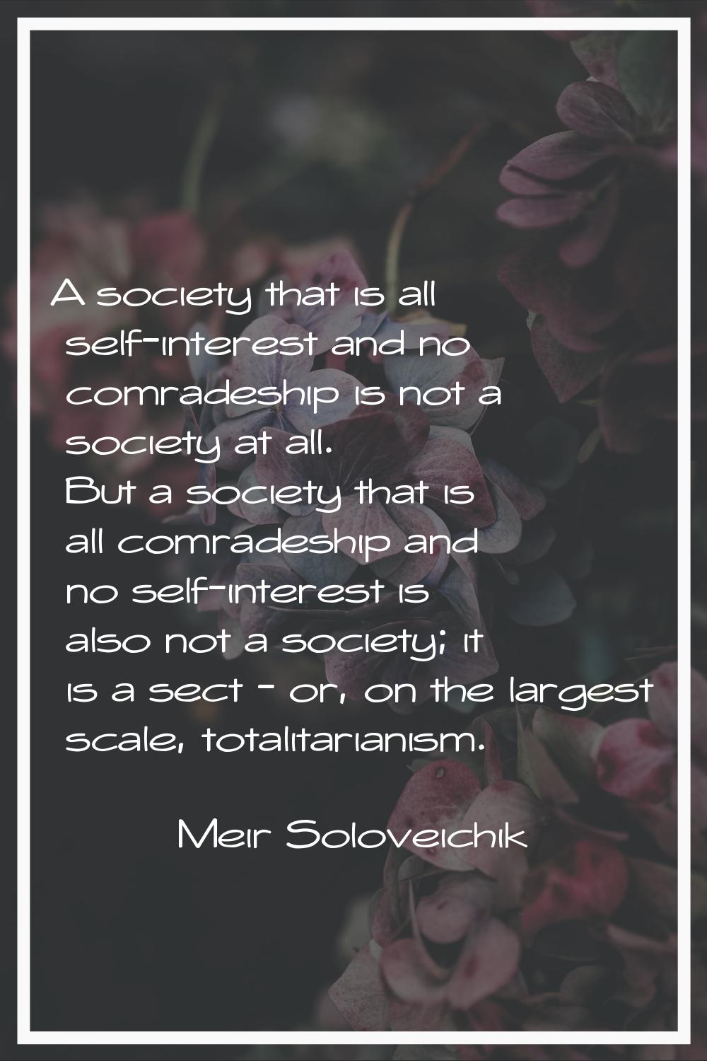 A society that is all self-interest and no comradeship is not a society at all. But a society that 