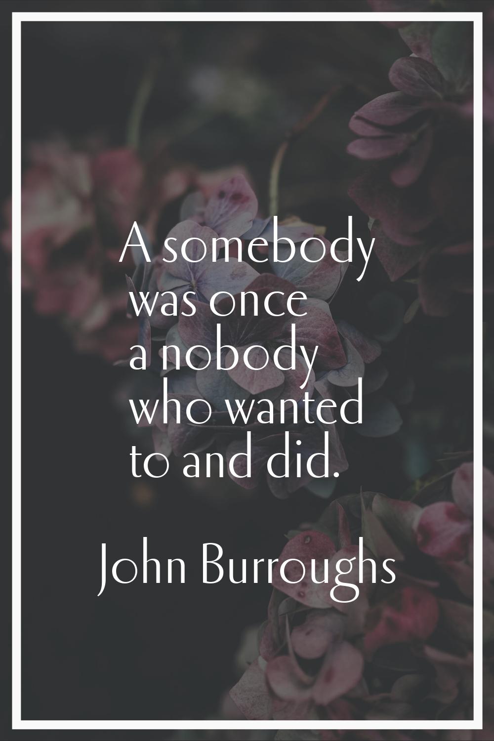 A somebody was once a nobody who wanted to and did.