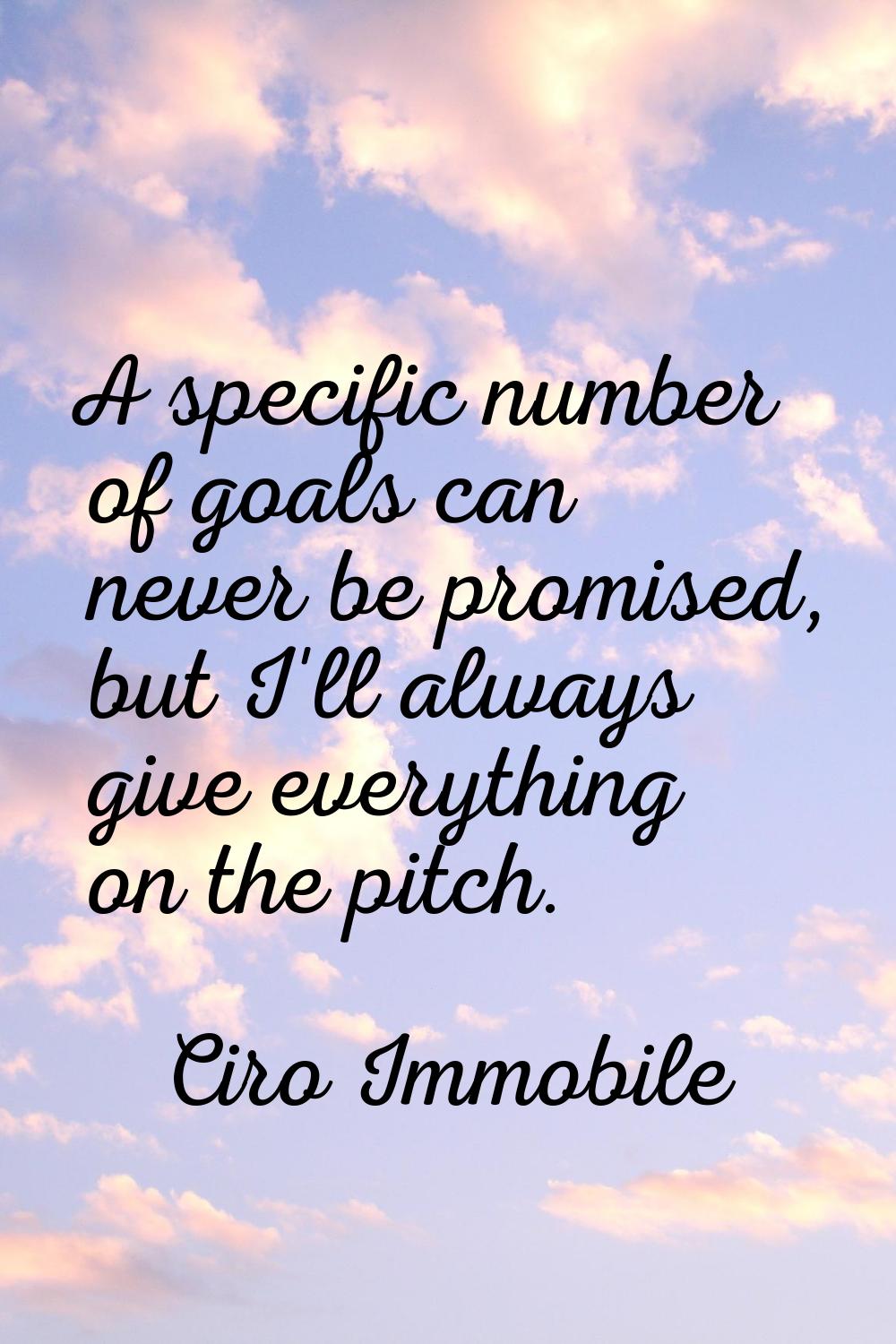 A specific number of goals can never be promised, but I'll always give everything on the pitch.