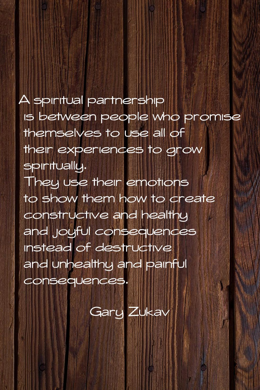 A spiritual partnership is between people who promise themselves to use all of their experiences to