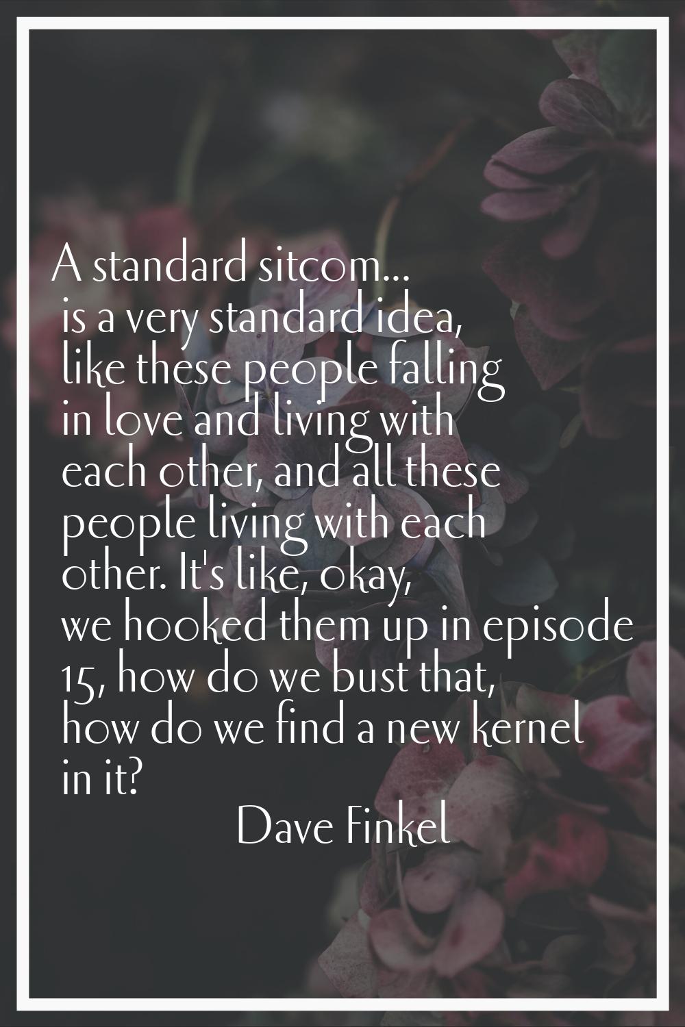 A standard sitcom... is a very standard idea, like these people falling in love and living with eac