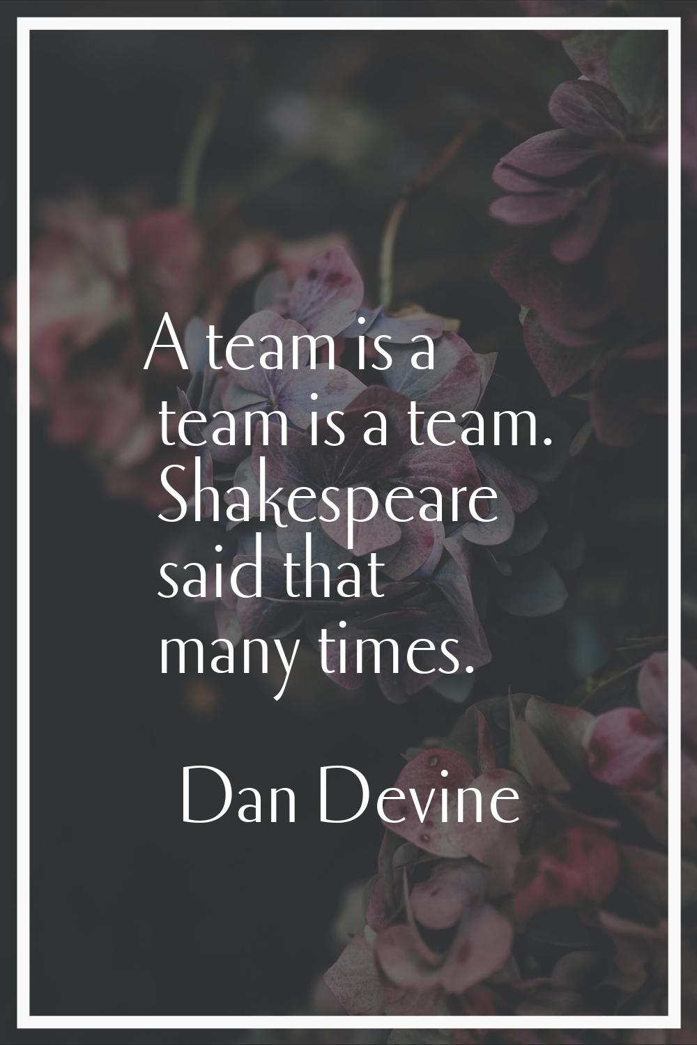 A team is a team is a team. Shakespeare said that many times.