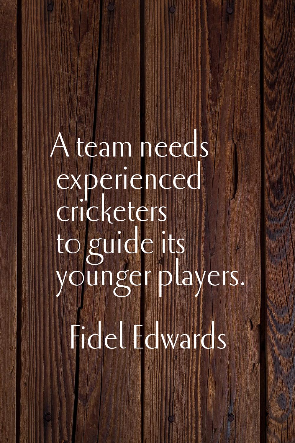 A team needs experienced cricketers to guide its younger players.