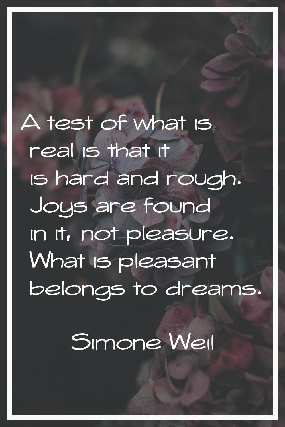 A test of what is real is that it is hard and rough. Joys are found in it, not pleasure. What is pl