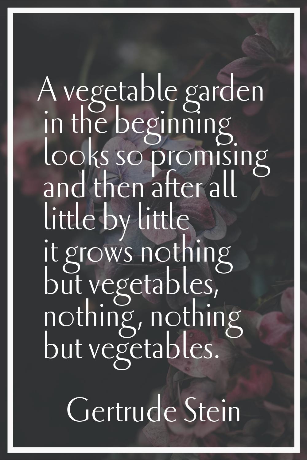 A vegetable garden in the beginning looks so promising and then after all little by little it grows