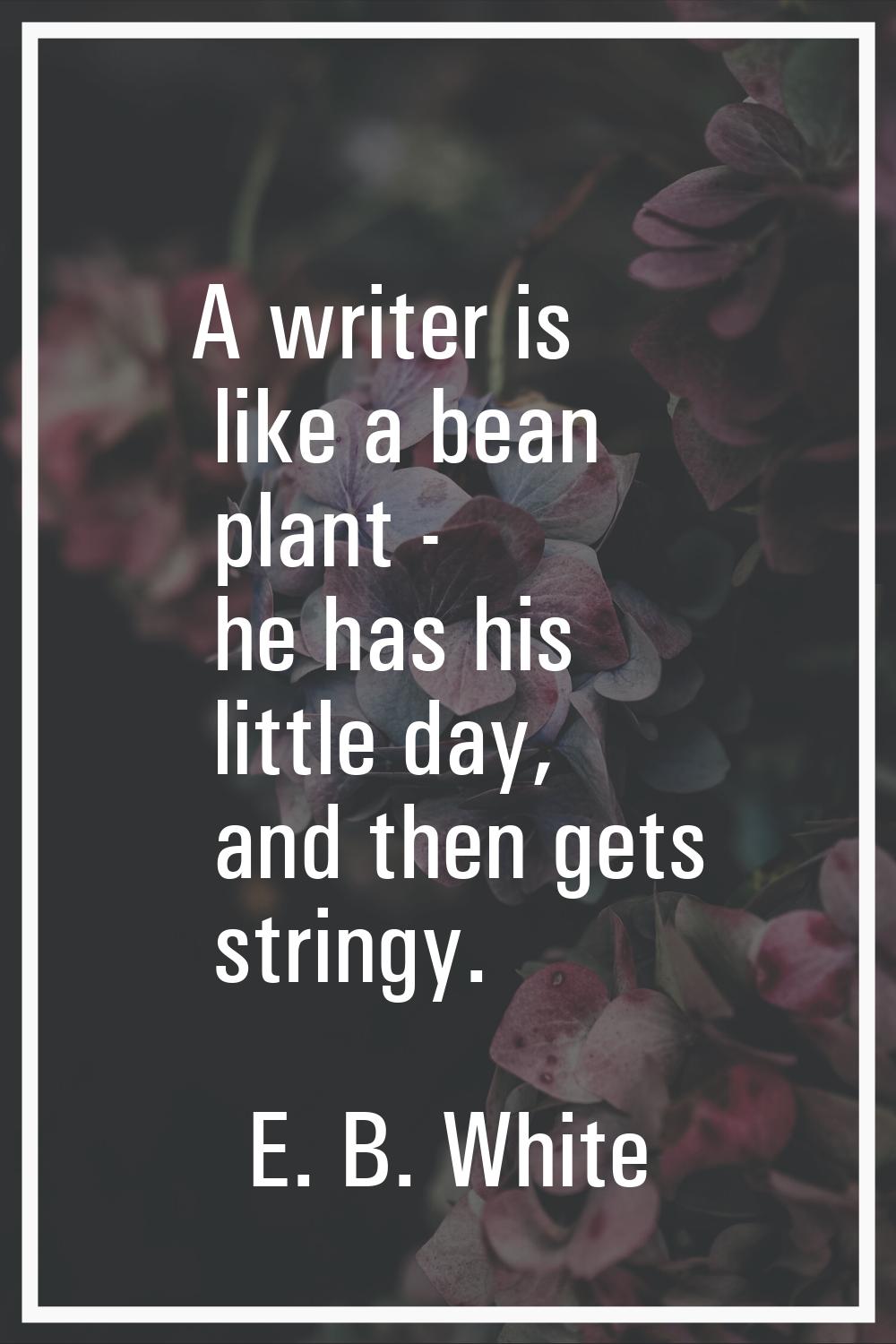 A writer is like a bean plant - he has his little day, and then gets stringy.