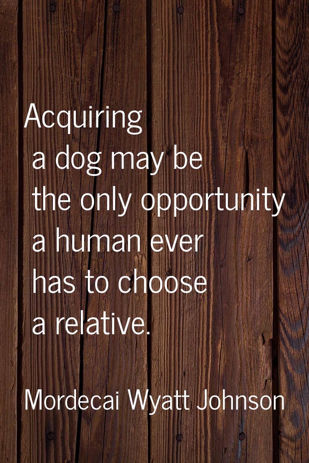 Acquiring a dog may be the only opportunity a human ever has to choose a relative.