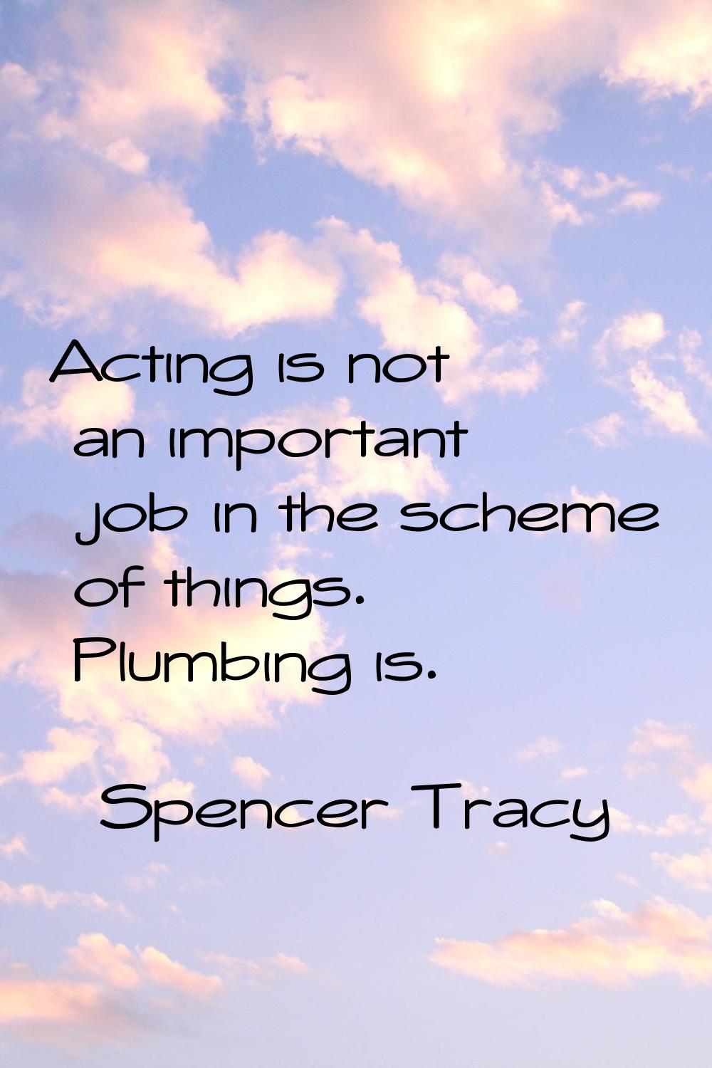 Acting is not an important job in the scheme of things. Plumbing is.