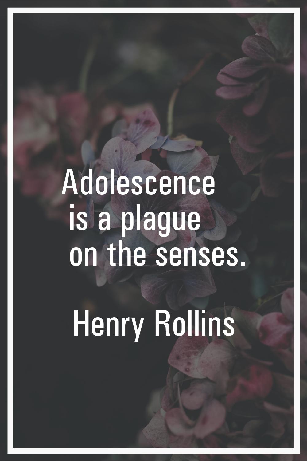 Adolescence is a plague on the senses.