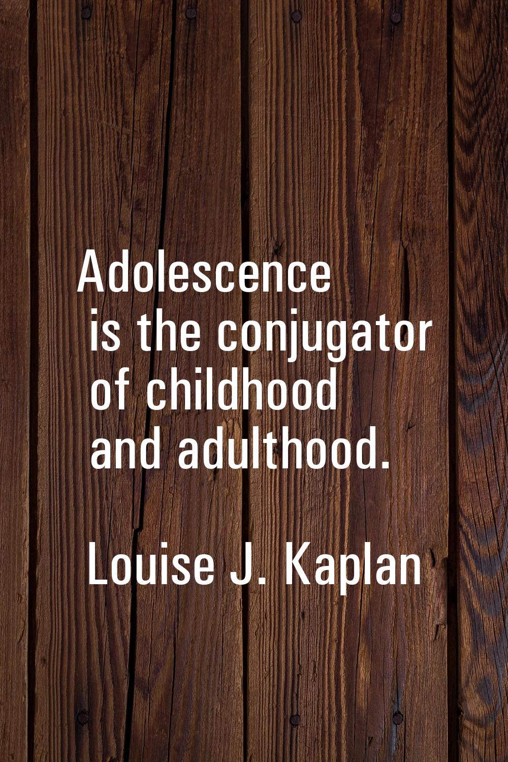Adolescence is the conjugator of childhood and adulthood.