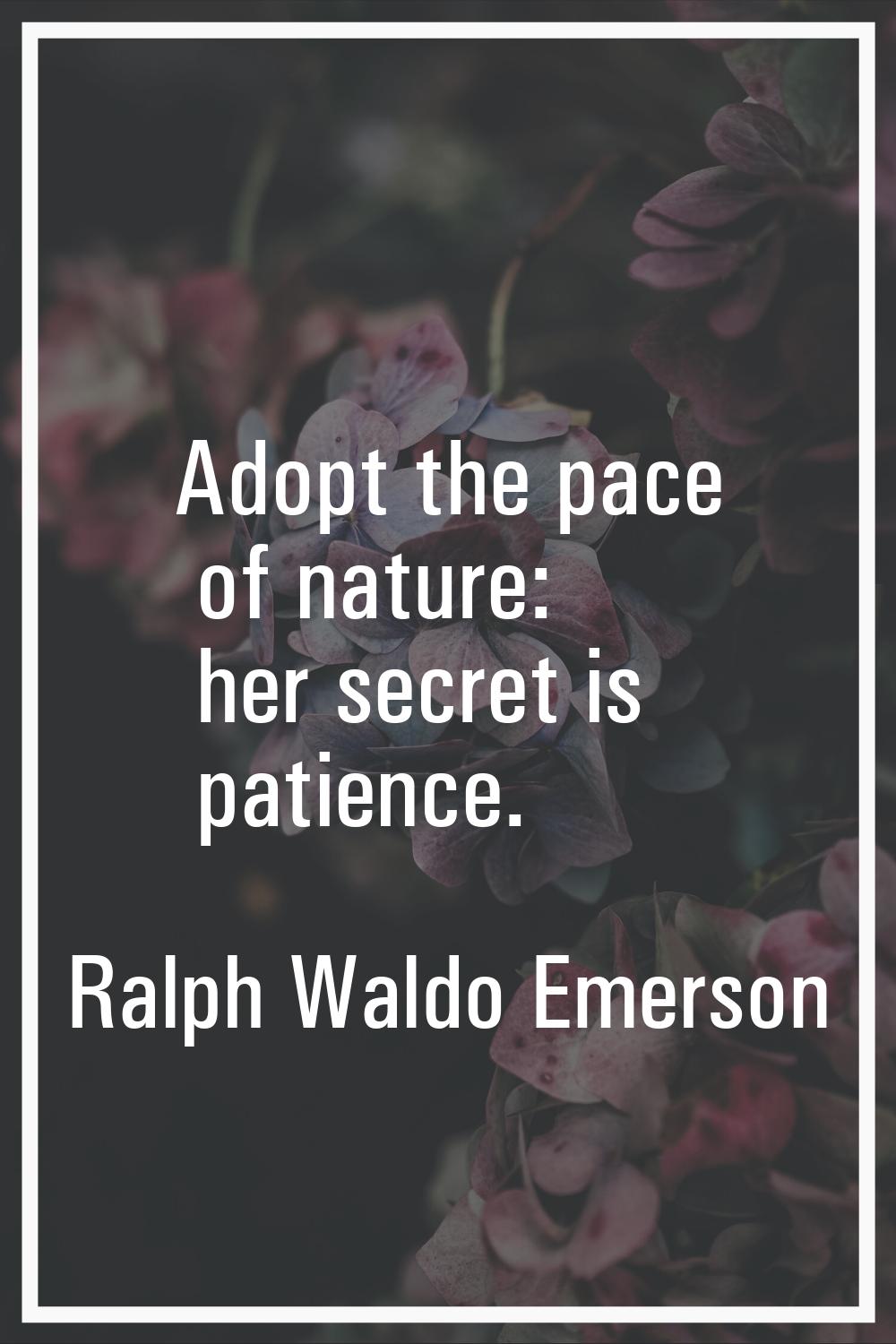 Adopt the pace of nature: her secret is patience.